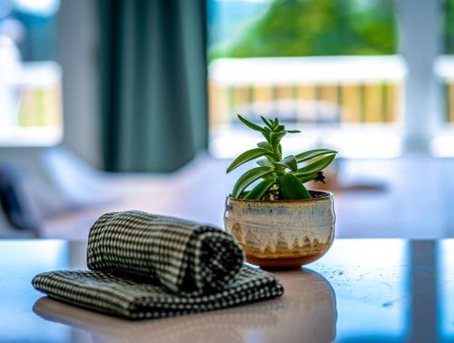 Fotografie z fotogalerie ubytování Hôtel-Appartements de la Gare v destinaci Val-David
