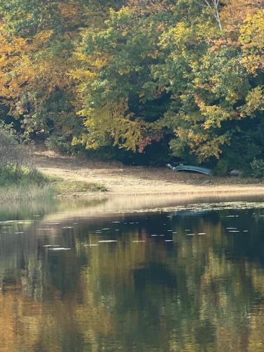 a body of water with ducks in the water at Welcome to the Lake in Northwood