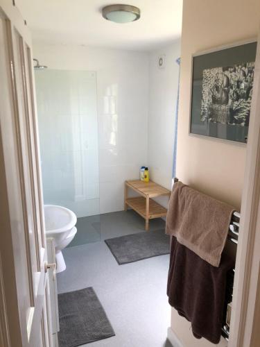a bathroom with a toilet and a sink at Spacious home in Bath, nature and city! in Bath