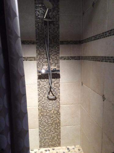 La salle de bains est pourvue d'une douche carrelée. dans l'établissement Chez Chantal, à Saint-Leu-dʼEsserent