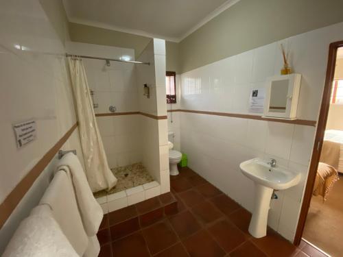 a bathroom with a shower and a toilet and a sink at Lanseria Country Estate in Lanseria
