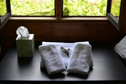 um par de toalhas sentadas numa mesa ao lado de uma janela em Hirafu Powder Cottage / Vacation STAY 4997 em Kabayama
