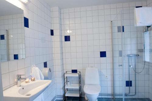 a bathroom with a sink and a toilet and a shower at STF Valbergsängen Sporthotell in Torsby