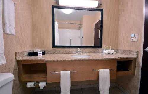 a bathroom with a sink and a mirror at Holiday Inn Express Hotel & Suites High Point South by IHG in Archdale