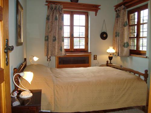 埃拉蒂的住宿－Frixos House，一间卧室设有一张床和两个窗户。