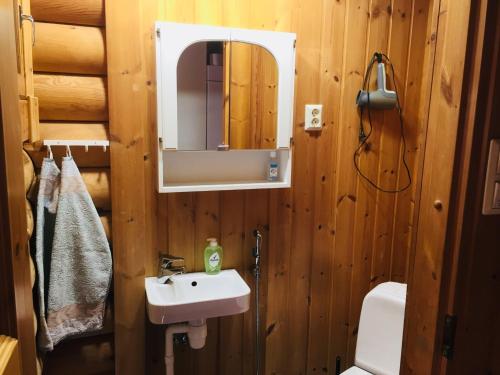 W łazience znajduje się umywalka i lustro. w obiekcie Ruka Rantaruka 6 w mieście Ruka