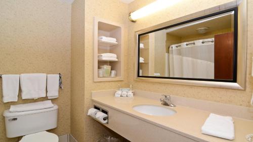 Phòng tắm tại Holiday Inn Express Hotel & Suites Fort Atkinson, an IHG Hotel