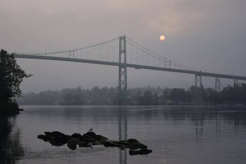 a bridge with a bird sitting on rocks in the water at Holiday Inn Express Hotel & Suites Watertown - Thousand Islands by IHG in Watertown
