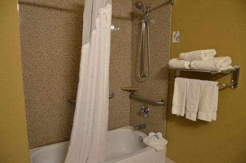 A bathroom at Holiday Inn Express Hotel & Suites Amarillo South, an IHG Hotel