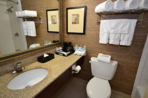 a bathroom with a sink and a toilet and a mirror at Holiday Inn Express Boston Brockton by IHG in Brockton