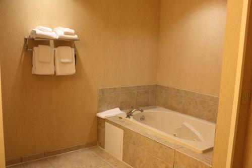 Vonios kambarys apgyvendinimo įstaigoje Holiday Inn Express - Ludlow - Chicopee Area, an IHG Hotel