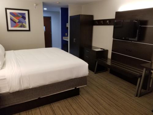 a bedroom with a bed and a desk and a television at Holiday Inn Express Birch Run-Frankenmuth Area by IHG in Birch Run