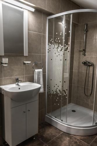 a bathroom with a shower and a sink at Elatos Luxury Villas Erato in Sinaia