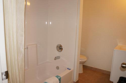 a bathroom with a shower and a toilet at Lake Marina Inn in Clearlake Oaks
