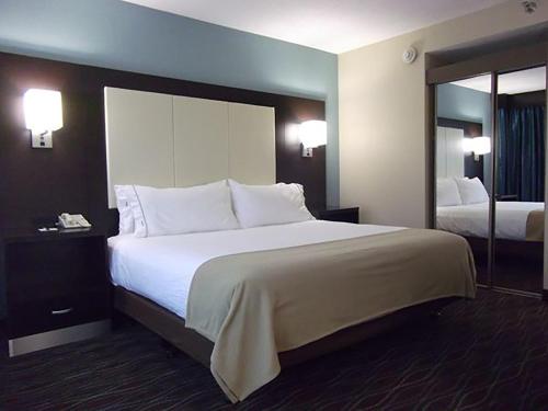 a hotel room with a large bed and a mirror at Holiday Inn Express Boise Downtown by IHG in Boise
