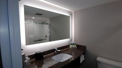 A bathroom at Holiday Inn Express Schaumburg-Rolling Meadows, an IHG Hotel