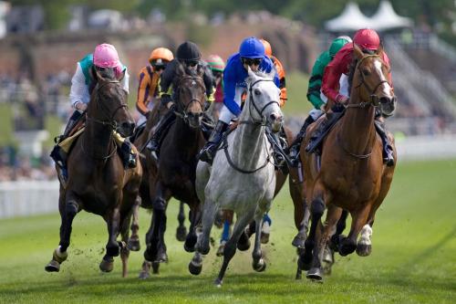 a group of horses racing on a track at Holiday Inn Express, Chester Racecourse by IHG in Chester