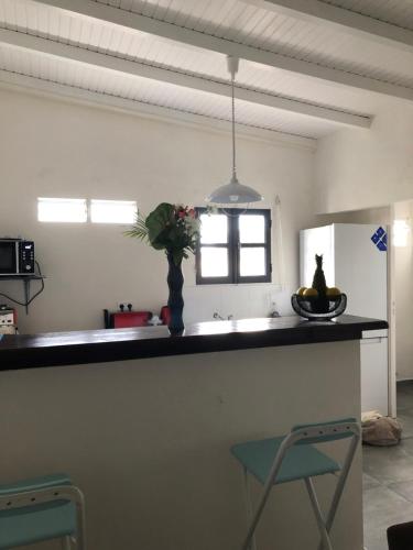 a kitchen with a bar with a vase on it at Belcourt1-lit queen size in Baie-Mahault