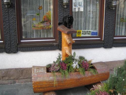 Una statua di un orso in un vaso di fiori di hotel rappen a Baiersbronn
