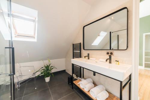 La salle de bains est pourvue d'un lavabo et d'un miroir. dans l'établissement Villa Ribière, à Auxerre