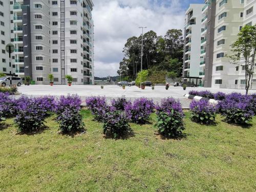 a bunch of purple flowers in the grass in a parking lot at The Quintet, Tower Ethel in Tanah Rata
