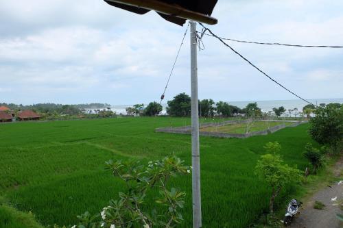 an electricity pole in a field of green grass at THE NYAMO surf & stay in Pulukan