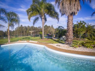 a large swimming pool with palm trees in a yard at Woolshed Hill Estate in Pokolbin
