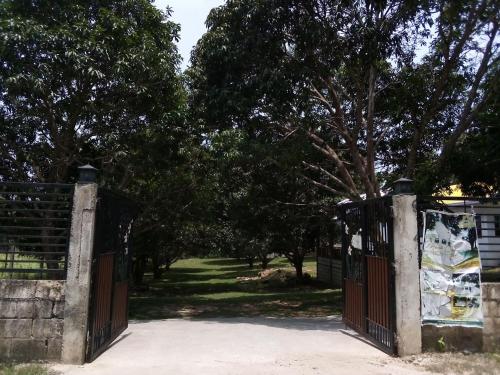 a gate to a park with trees in the background at Balai Mariacaria Pension House in Guindulman