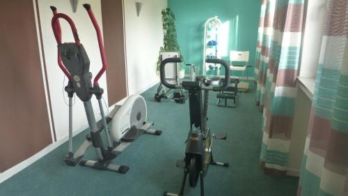 Γυμναστήριο ή/και όργανα γυμναστικής στο Hotel Landhaus Apartments