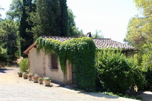 a house with ivy growing on the side of it at Casina in Gaiole in Chianti