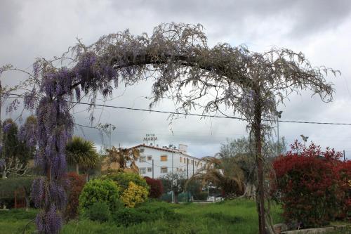 a tree covered in purple flowers in a park at Ca La Maria in Tordera