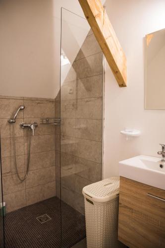 a bathroom with a shower and a sink at Apartments Arh in Bohinjska Bistrica