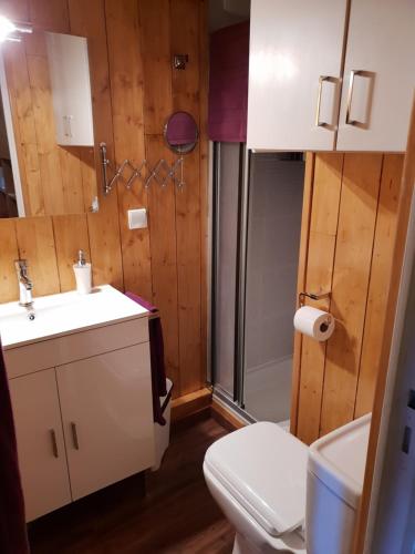 La salle de bains est pourvue d'un lavabo blanc et de toilettes. dans l'établissement Confortable Chalet pie des pistes Pyrénées 2000, à Bolquère-Pyrénées 2000