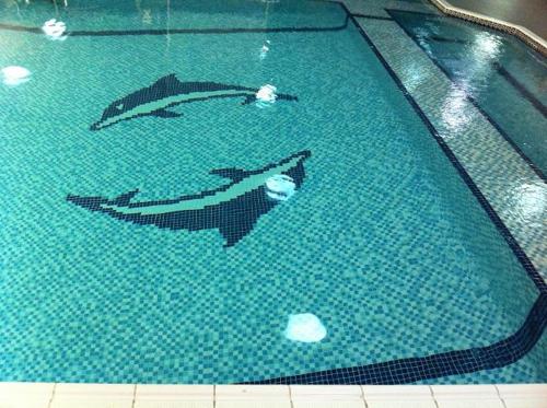 two dolphins swimming in a swimming pool at Al Jazeera Hotel Apartments LLC in Dubai