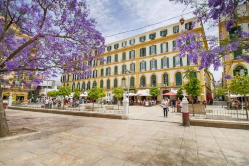 Cozy Apartament in the heart of Málaga with Pool
