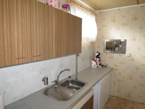 kuchnia ze zlewem i kuchenką mikrofalową w obiekcie Holiday House Radvanice w mieście Radvanice