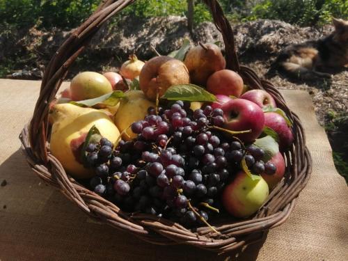 un cesto di frutta seduto su un tavolo di INTO THE WILD - CAMPER a Montargano