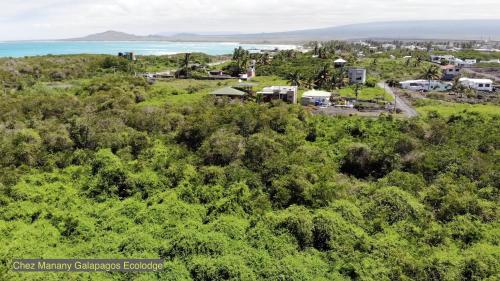 an overhead view of a forest with the ocean in the background at Chez Manany Galapagos Ecolodge in Puerto Villamil