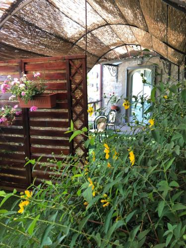 un giardino con fiori gialli e un pergolato di Agriturismo Specchio Del Lago a Montefiascone