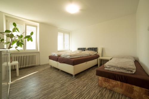 sypialnia z 2 łóżkami i doniczką w obiekcie Purkyněho Žatec w mieście Žatec
