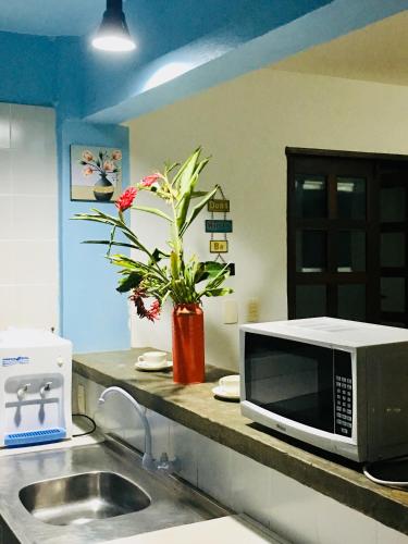 a kitchen counter with a microwave and a sink at Casas Coloniais in Morro de São Paulo