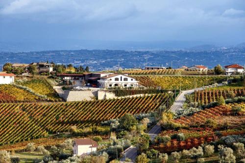 Cantine Iannella – Photos 4