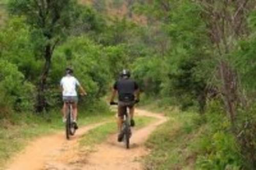 Επισκέπτες που μένουν στο Cross Pollination Chalets & Wellness Products
