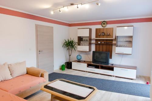 uma sala de estar com um sofá e uma televisão em Ferien - Knierer em Bärnau