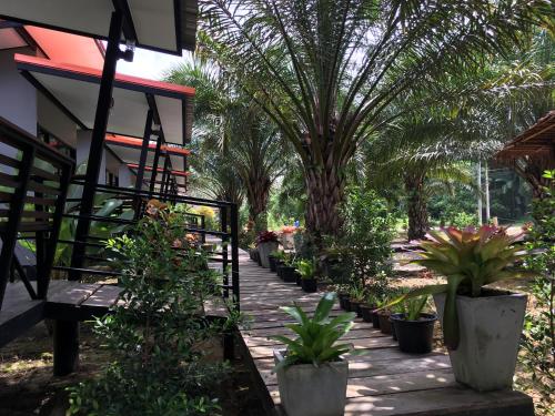 En have udenfor Khao Sok Residence Resort