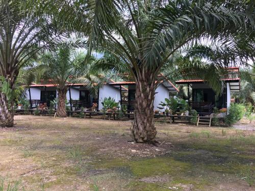 En have udenfor Khao Sok Residence Resort