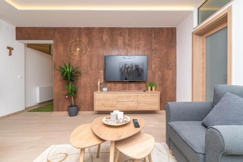 Una televisión o centro de entretenimiento en Anna