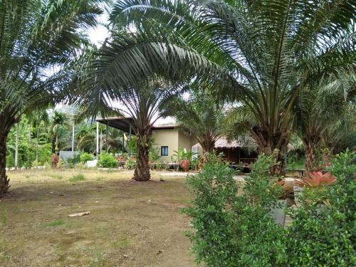 En have udenfor Khao Sok Residence Resort