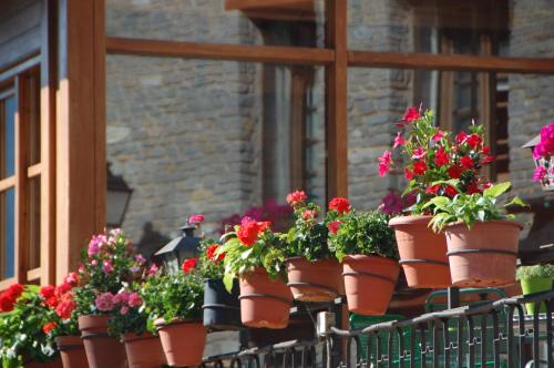 a bunch of potted flowers on a window sill at Hotel Roya in Espot