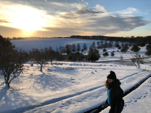 a woman standing on a fence in the snow at The Carew Arms in Taunton